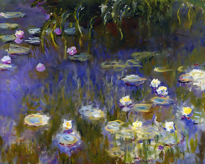 Water Lilies