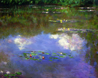 Water Lilies