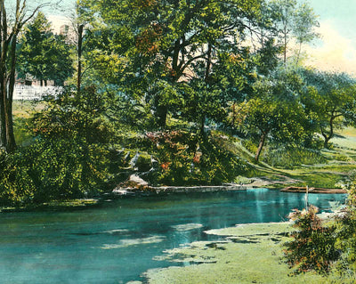 Baker's Spring