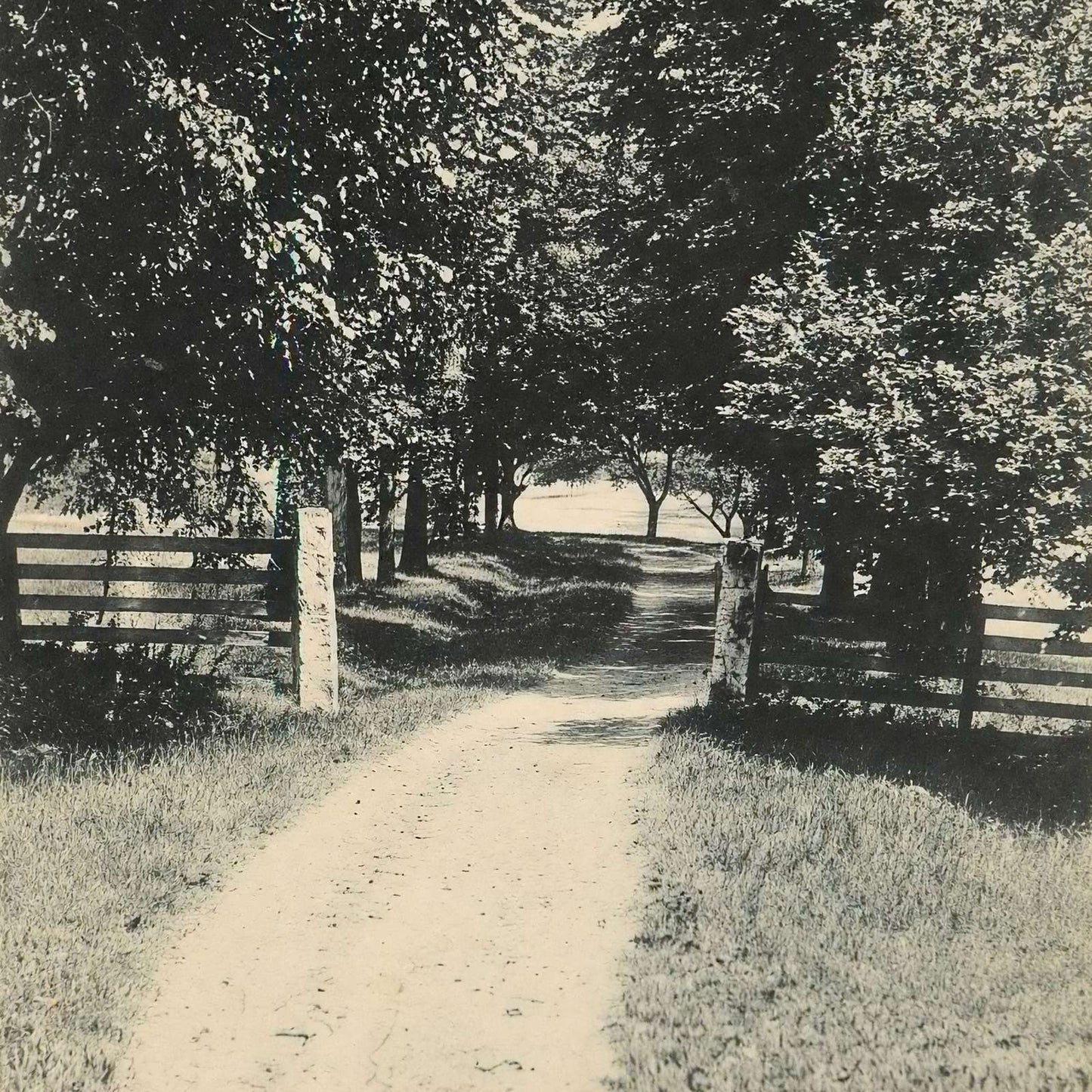 Webster Lane Plymouth NH in 1906 Vintage Print (7 Sizes) - Premium Quality