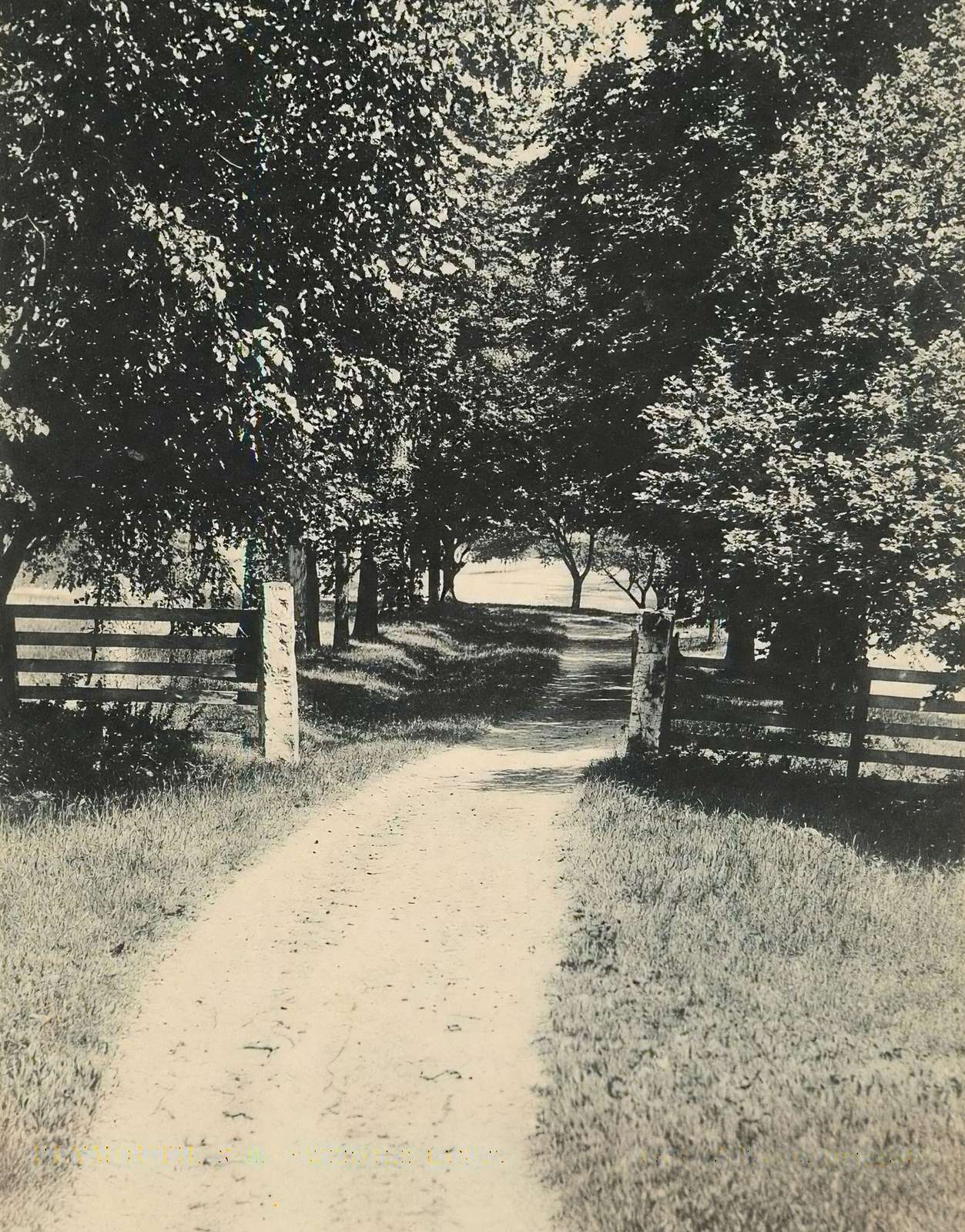Webster Lane Plymouth NH in 1906 Vintage Print (7 Sizes) - Premium Quality