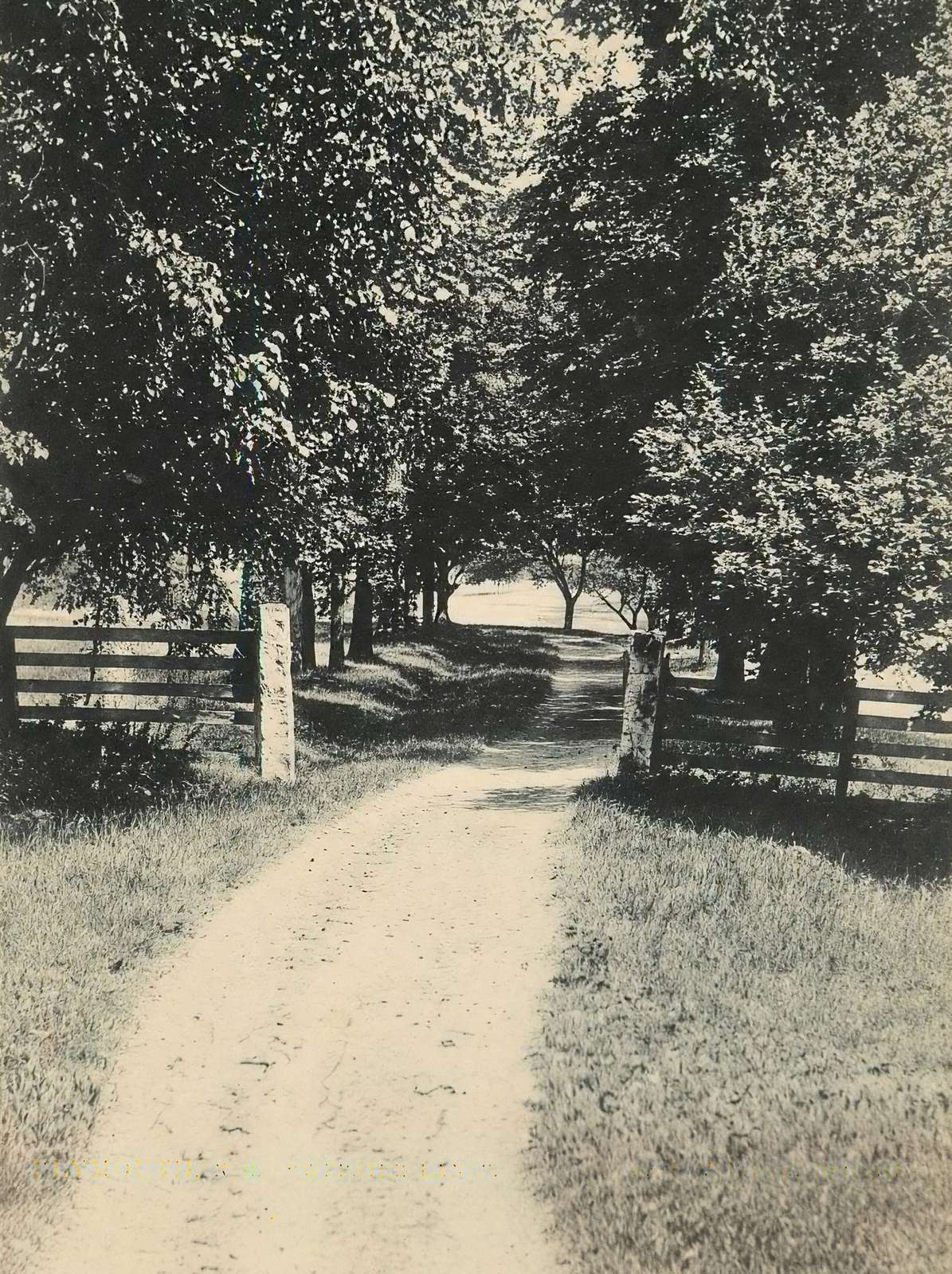 Webster Lane Plymouth NH in 1906 Vintage Print (7 Sizes) - Premium Quality