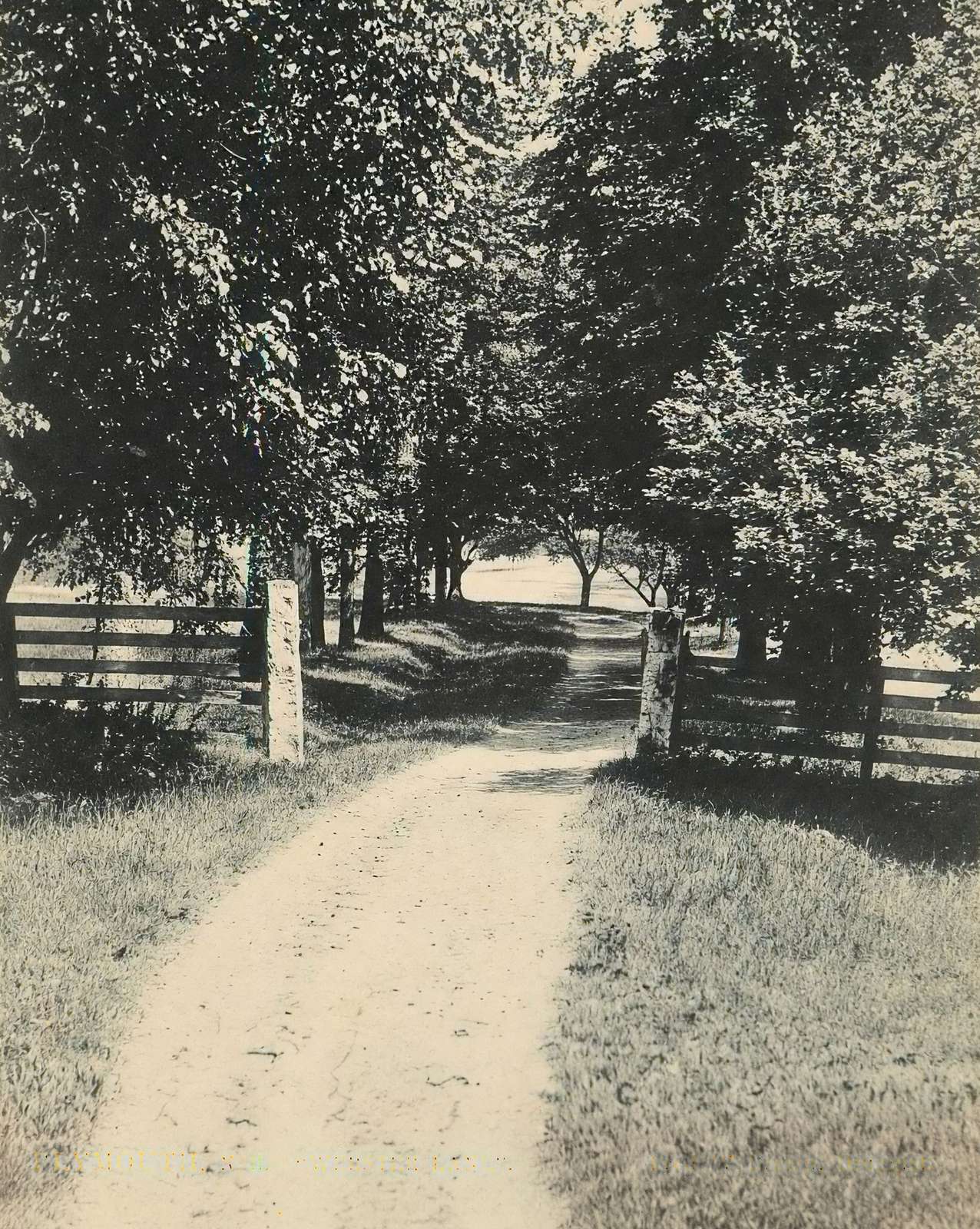 Webster Lane in Plymouth in 1906 photo print