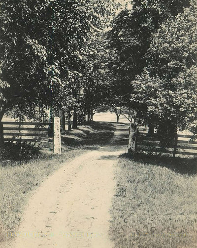 Webster Lane in Plymouth in 1906 photo print