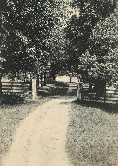 Webster Lane Plymouth NH in 1906 Vintage Print (7 Sizes) - Premium Quality