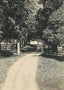 Webster Lane Plymouth NH in 1906 Vintage Print (7 Sizes) - Premium Quality