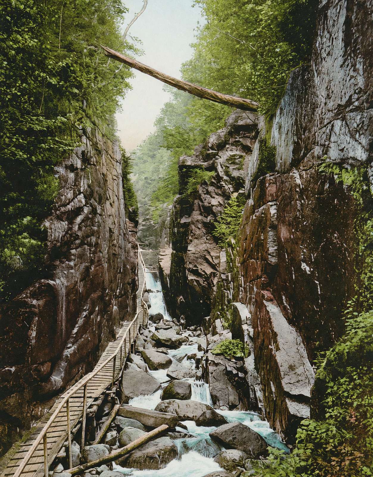 White Mountains Flume Franconia Notch in 1907 Vintage Print (7 Sizes)