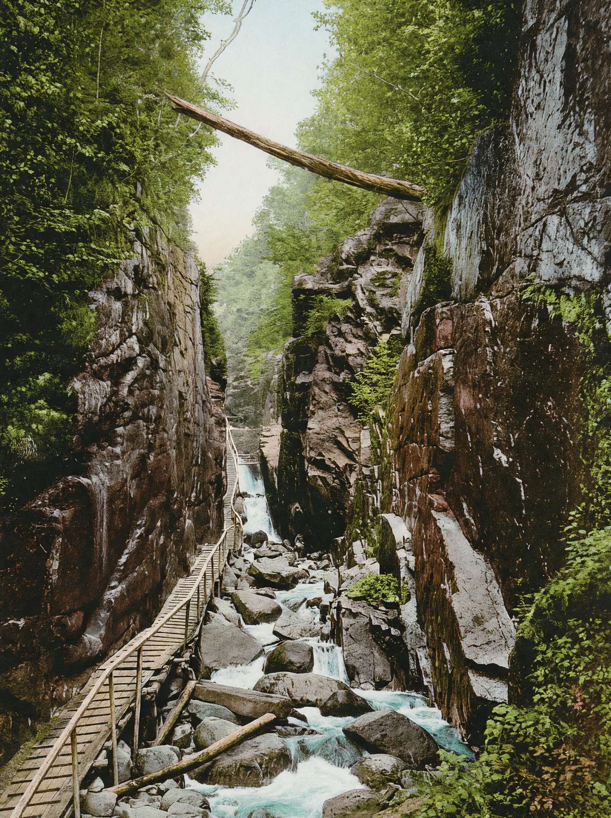 White Mountains Flume Franconia Notch in 1907 Vintage Print (7 Sizes)
