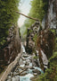 White Mountains Flume Franconia Notch in 1907 Vintage Print (7 Sizes)