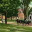 Library Campus Showing East College, Williamstown, MA in 1906 Vintage Print