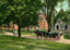 Library Campus Showing East College, Williamstown, MA in 1906 Vintage Print