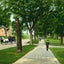 West College and President's House, Williamstown, MA in 1906 Vintage Print