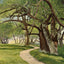 The Willows Cushing's Island Maine in 1908 Vintage Print (7 Sizes) - Restored