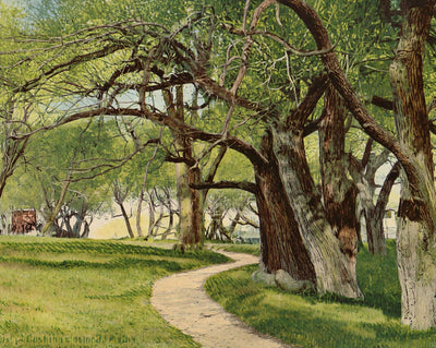 The Willows