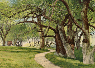 The Willows Cushing's Island Maine in 1908 Vintage Print (7 Sizes) - Restored