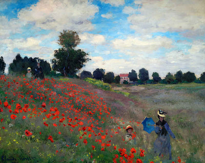 Wild Poppies