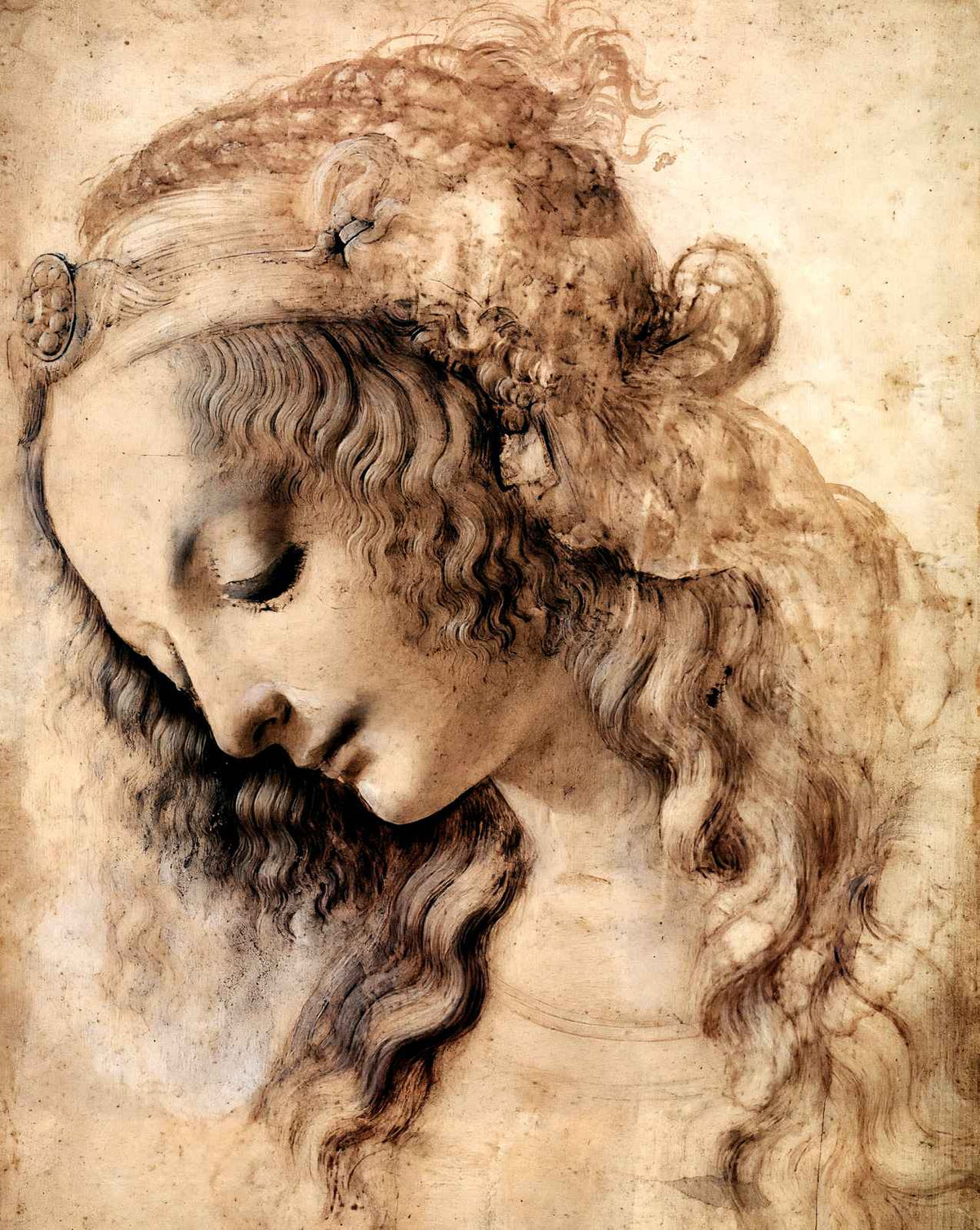 Woman's Head drawing by Leonardo da Vinci (1473)