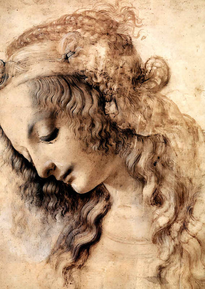 Woman's Head Art Print 1473 Drawing by Leonardo da Vinci (6 Sizes) - Enhanced