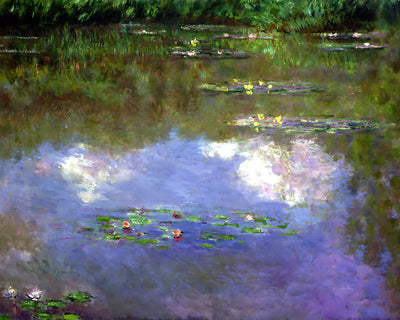 Water Lilies