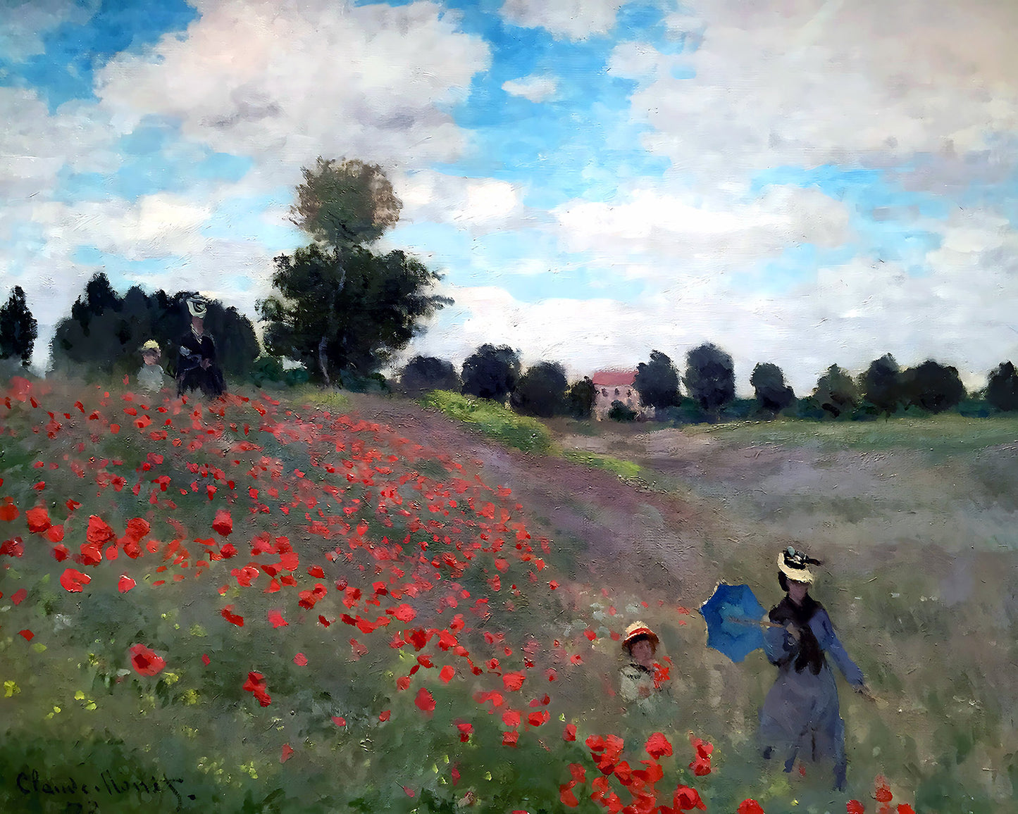Wild Poppies