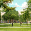 Yale University Campus in 1904 Vintage Print (7 Sizes) - Reproduction