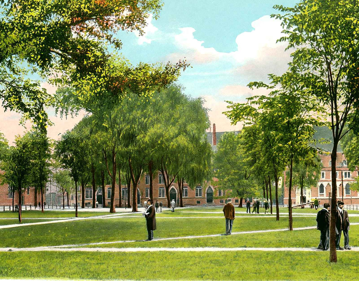 Yale University Campus in 1904 Vintage Print (7 Sizes) - Reproduction