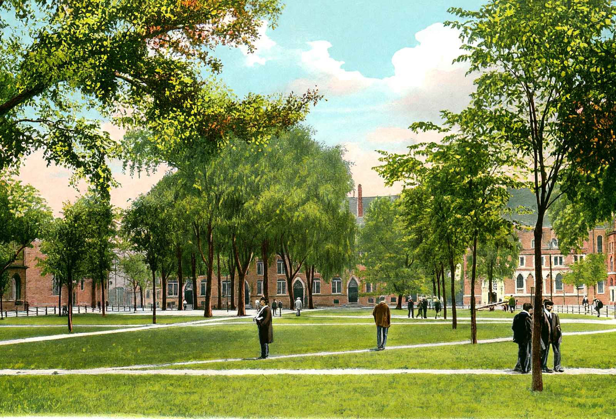 Yale University Campus in 1904 Vintage Print (7 Sizes) - Reproduction