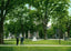 Yale University Old Library and Woolsey Statue in 1904 Vintage Print (7 Sizes)