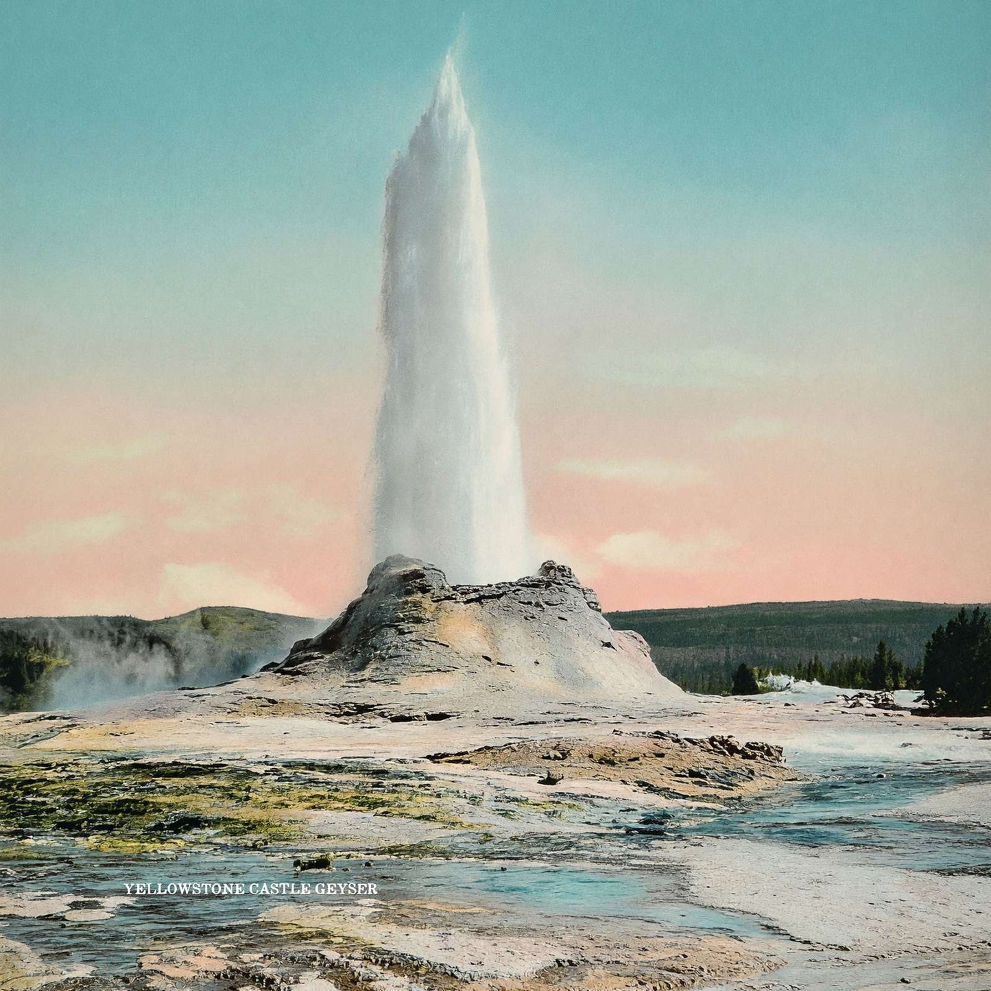 Yellowstone Castle Geyser in Action in 1907 Vintage Print (7 Sizes)