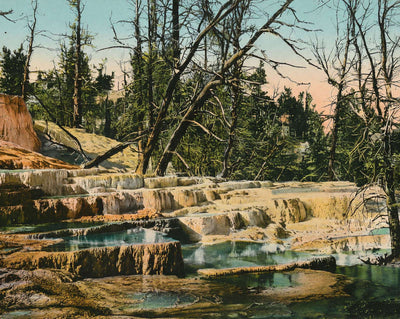 Yellowstone Angel Terrace in 1907 vintage print