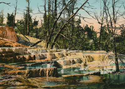 Yellowstone Angel Terrace in 1907 Vintage Print (7 Sizes)