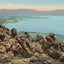 Head of Yellowstone Lake in 1907 Vintage Print (7 Sizes)