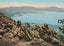 Head of Yellowstone Lake in 1907 Vintage Print (7 Sizes)