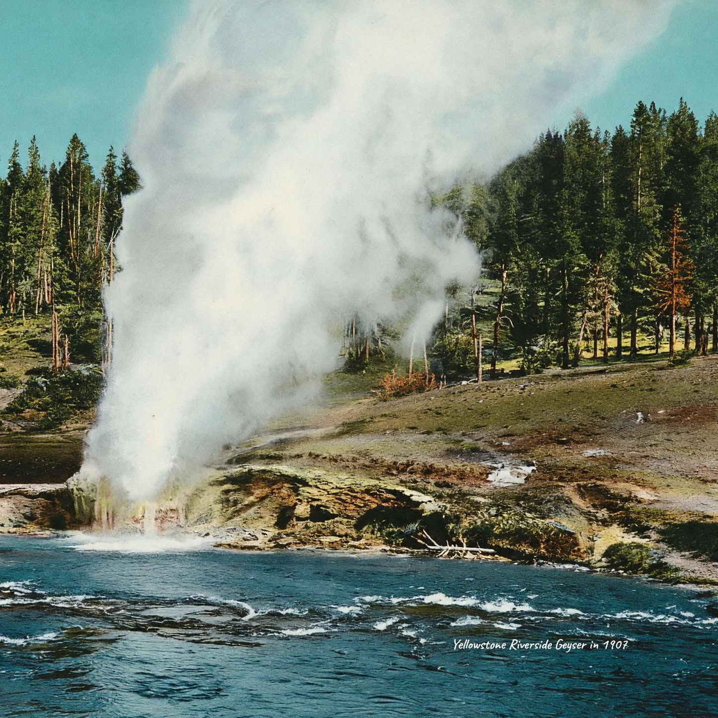 Yellowstone Riverside Geyser in 1907 Vintage Print (7 Sizes)