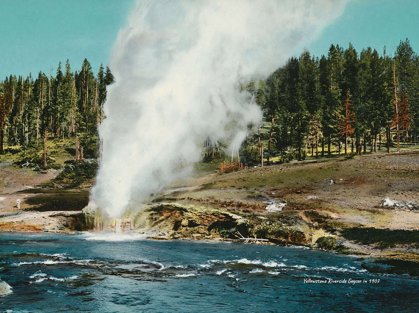 Yellowstone Riverside Geyser in 1907 Vintage Print (7 Sizes)