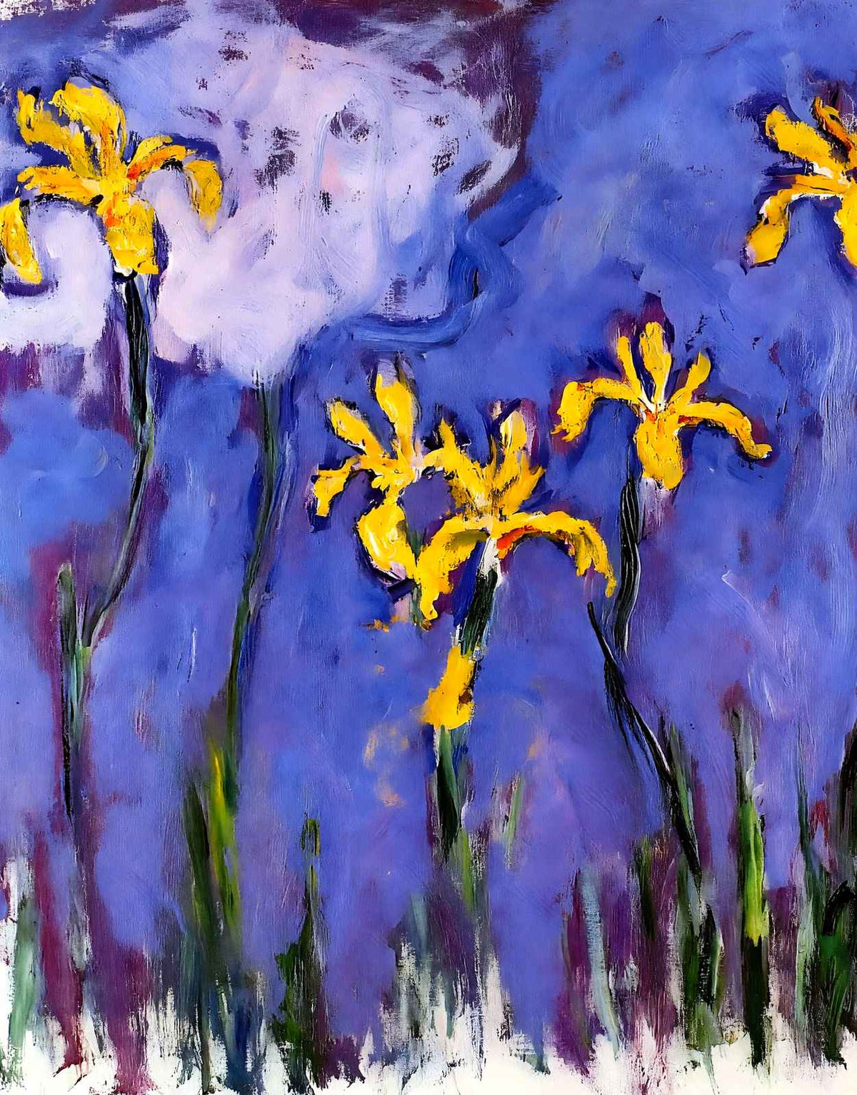 Yellow Irises with Pink Cloud 1914 by Claude Monet Fine Art Print (6 Sizes)