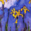 Yellow Irises with Pink Cloud 1914 by Claude Monet Fine Art Print (6 Sizes)