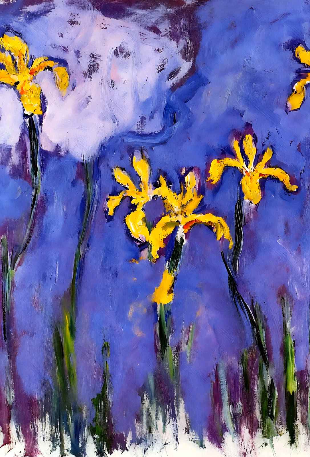 Yellow Irises with Pink Cloud 1914 by Claude Monet Fine Art Print (6 Sizes)