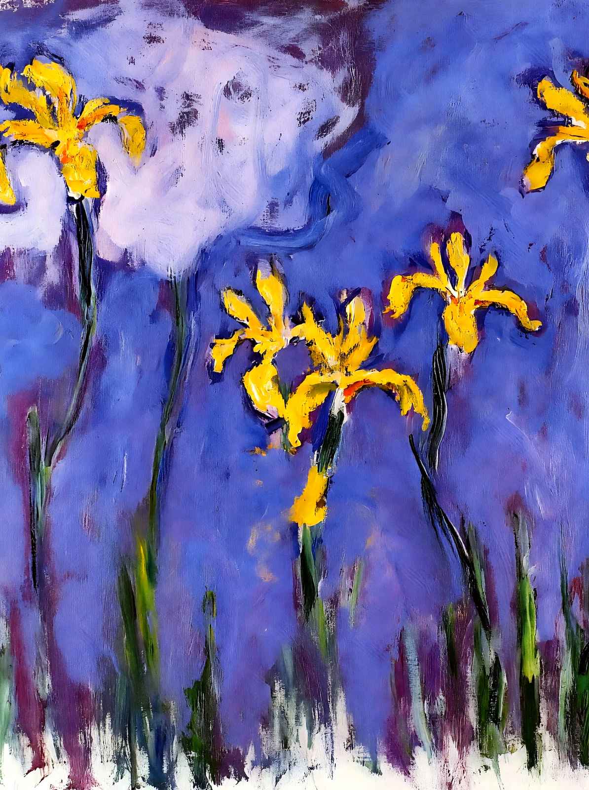 Yellow Irises with Pink Cloud 1914 by Claude Monet Fine Art Print (6 Sizes)