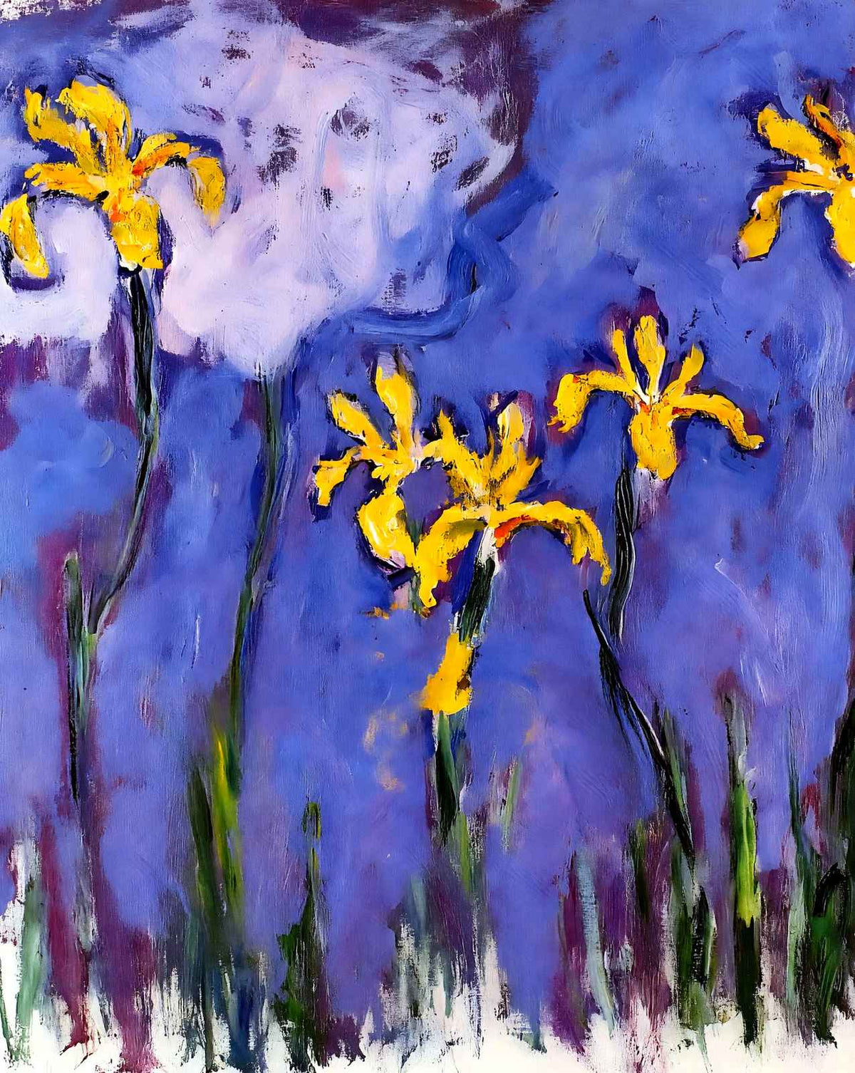 Yellow Irises with Pink Cloud fine art print by Claude Monet (1914)