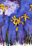 Yellow Irises with Pink Cloud 1914 by Claude Monet Fine Art Print (6 Sizes)