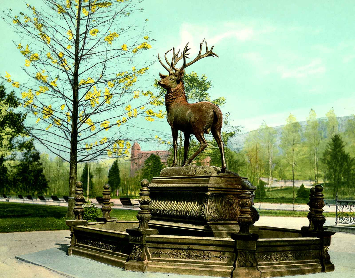 Fountain City Reservoir, Reading PA in 1907 vintage print