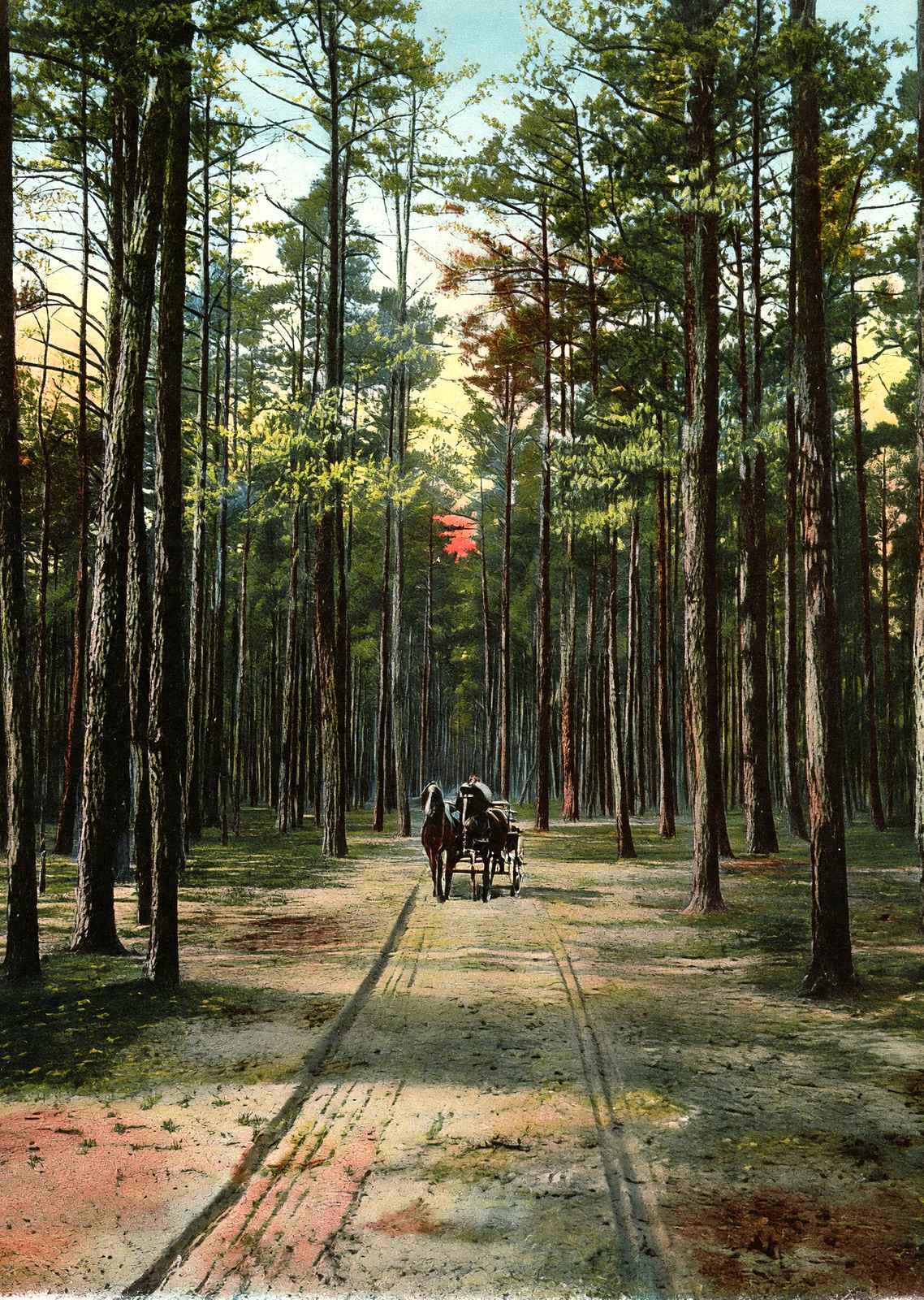 Cathedral Drive, Lakewood, NJ in 1905 vintage print