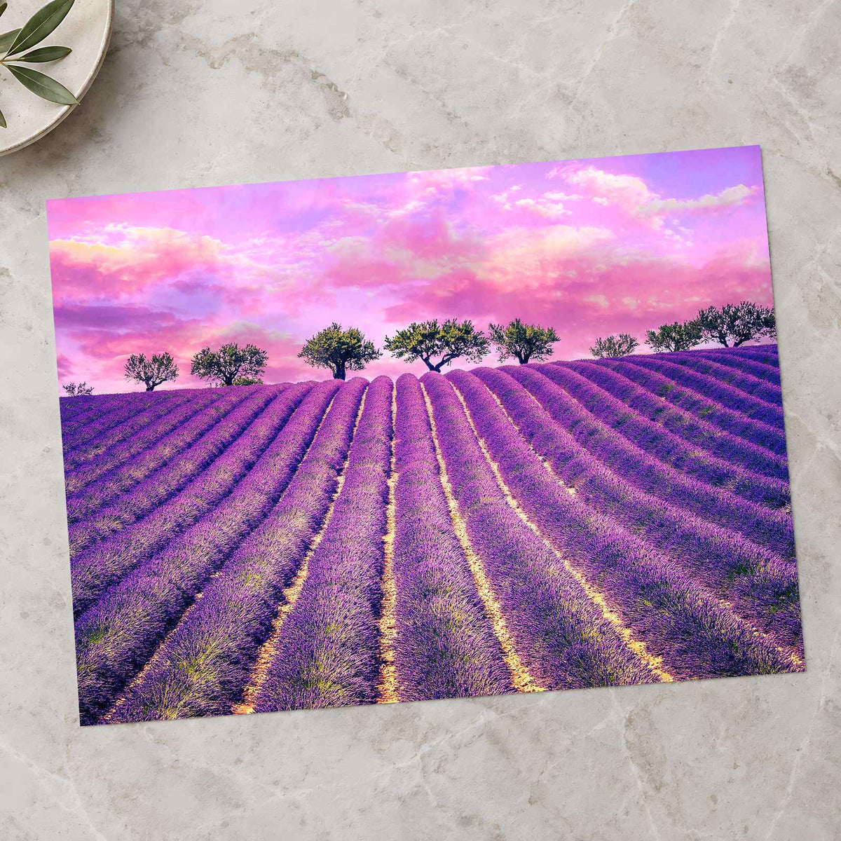 Beautiful Lavender Field in France Photo Print Wall Decor