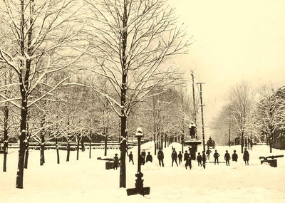 South Park in Winter, Philipsburg, PA in 1905 vintage print