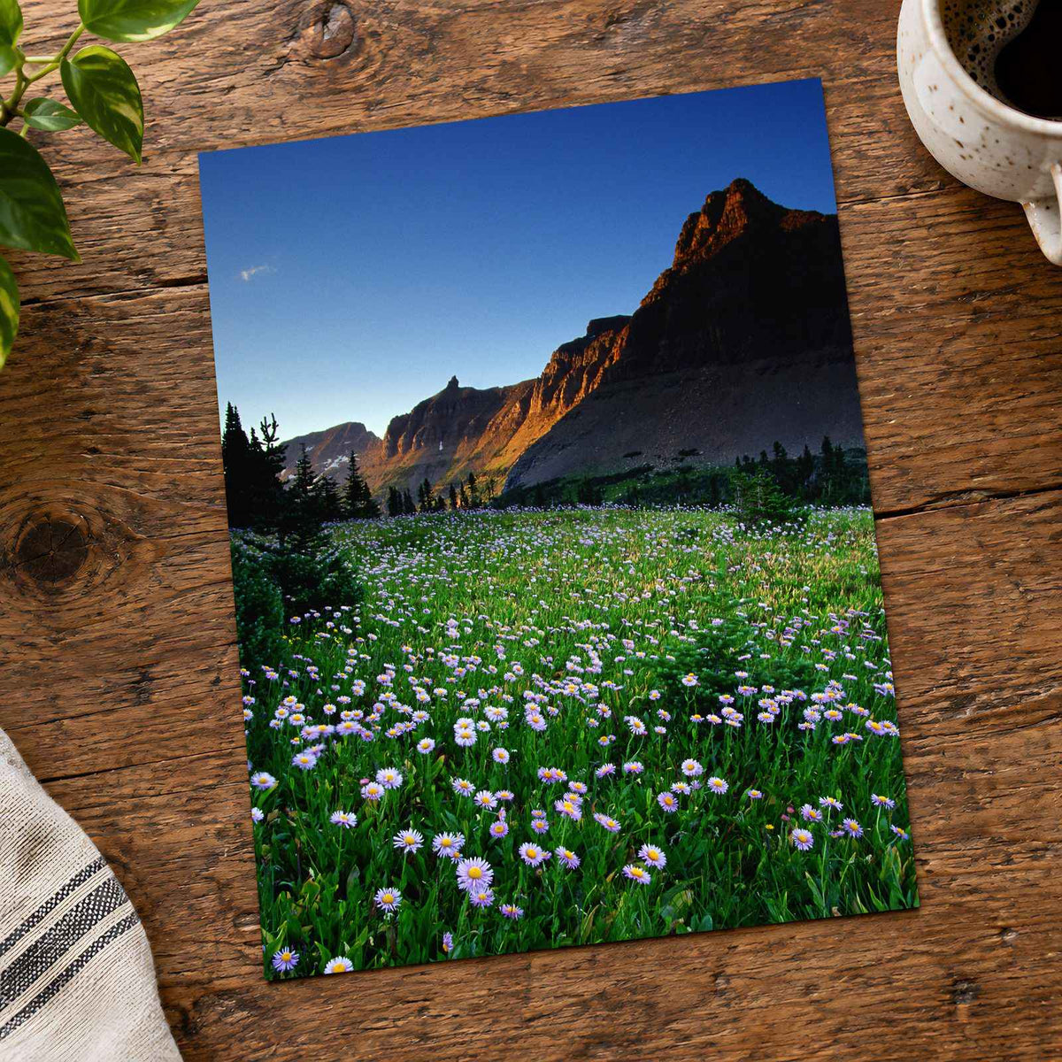 Rocky Mountains National Park Flowers Photo Print Wall Decor