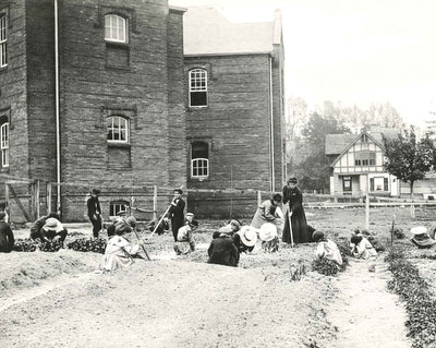 First-Grade Planting, Salisbury NC in 1905 vintage print