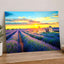 French Lavender Field at Sunset Photo Print Wall Decor