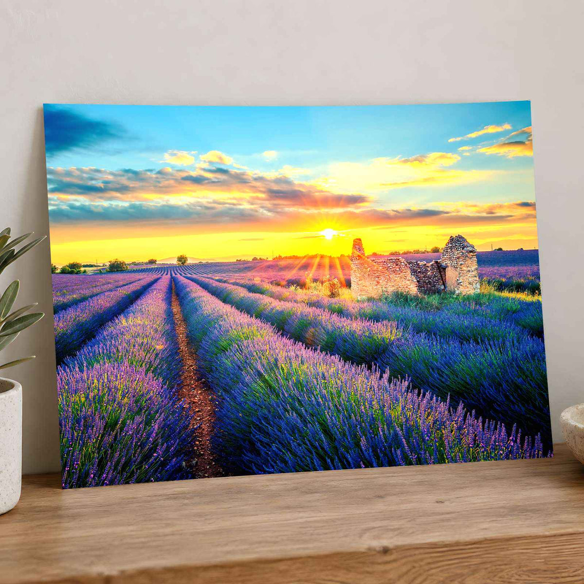 French Lavender Field at Sunset Photo Print Wall Decor