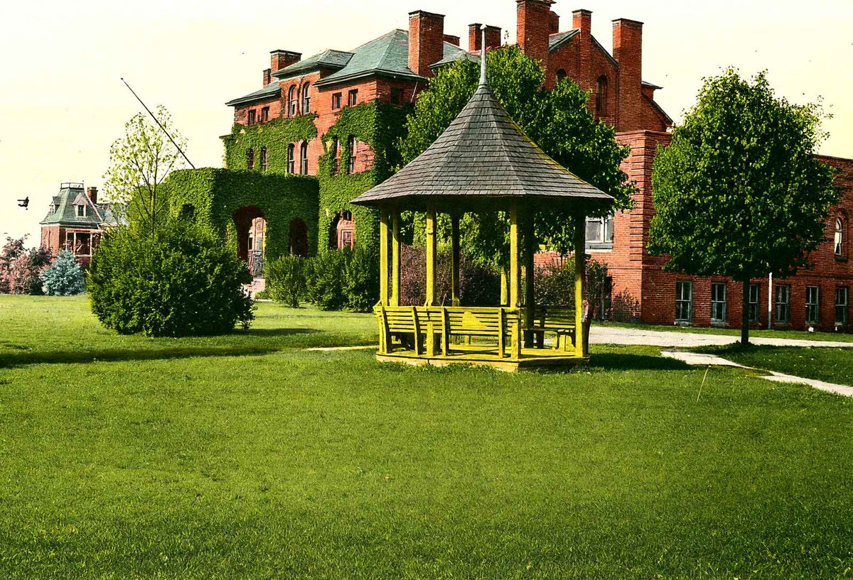 Agricultural & Mechanical College, Raleigh vintage print